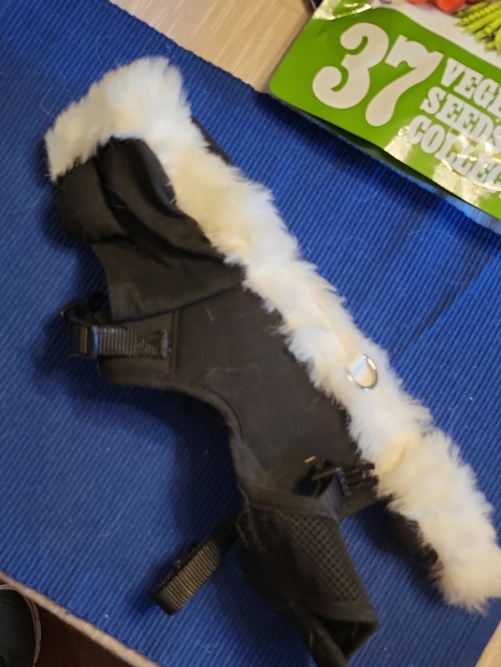 Makes Dog Look Like A Skunk Harness